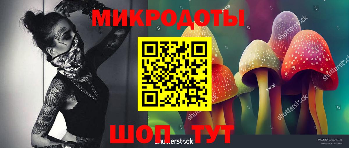 Галлюциногенные грибы Cubensis  Псилоцибиновые грибы прущие грибы  Соликамск  Вход с VPN 